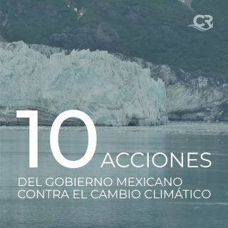 ¿Ya conoces las acciones que está tomando el gobierno mexicano en contra del cambio climático? 🇲🇽🌳 Dale click el link en bio Para conocer más al respecto 👆
.
.
.
#derechoambiental #abogadosmexico #crlegal #abogadoambiental #auditoriaambiental #abogadoscancun